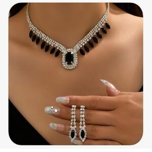 Elegant Black and Silver Necklace and Earring Set